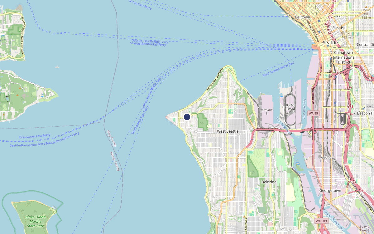 Map of our chimney service area in Alki, King County, WA