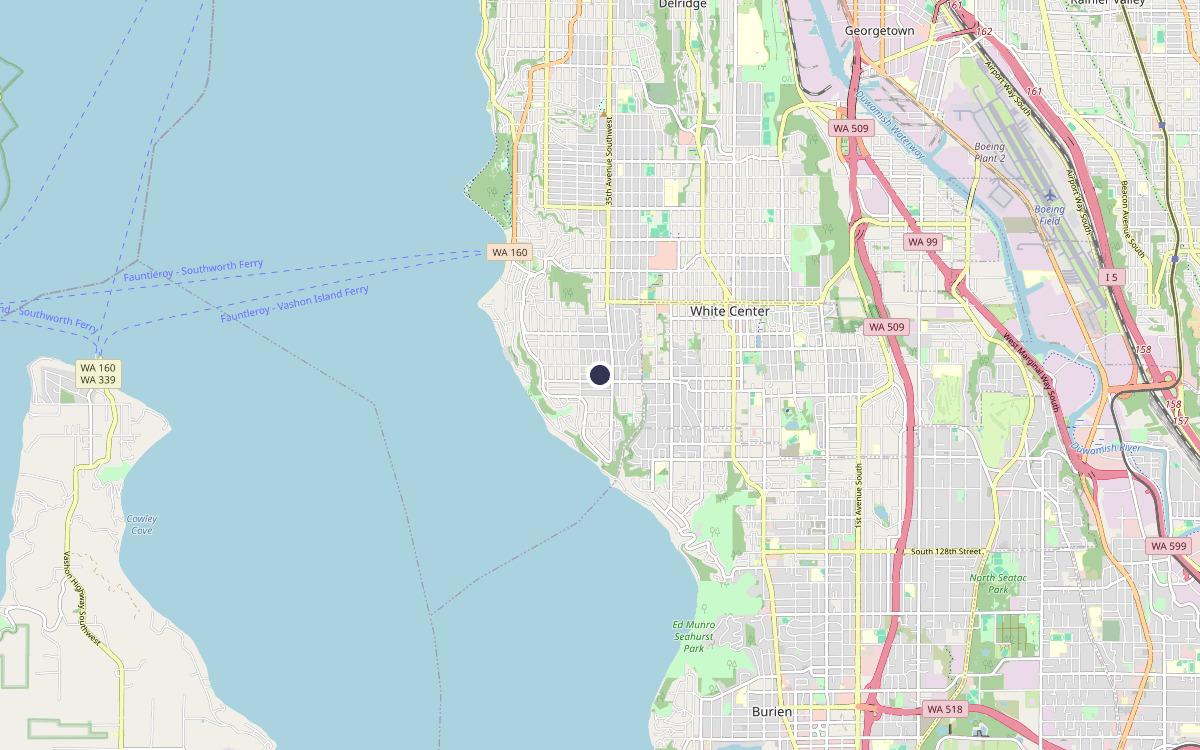 Map of our chimney service area in Arbor Heights, King County, WA