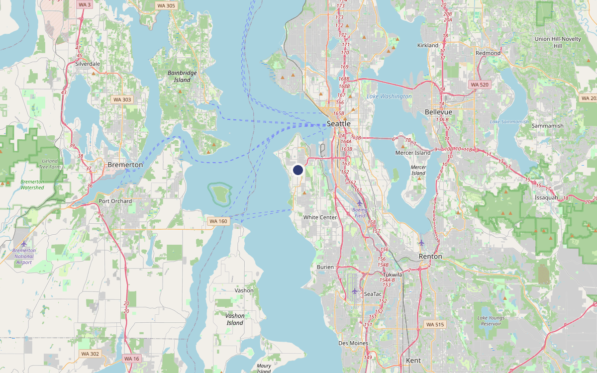 Chimney service area map of the West Seattle peninsula, from Alki and Admiral south to Arbor Heights